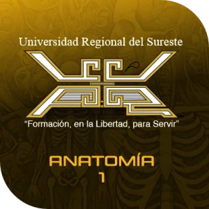 Material didáctico para Anatomía de primer semestre